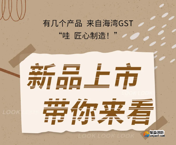 海湾半岛线上官网股份有限公司N600二线制系列集中电源集中控制型半岛线上官网股份有限公司应急照明灯具新品上市