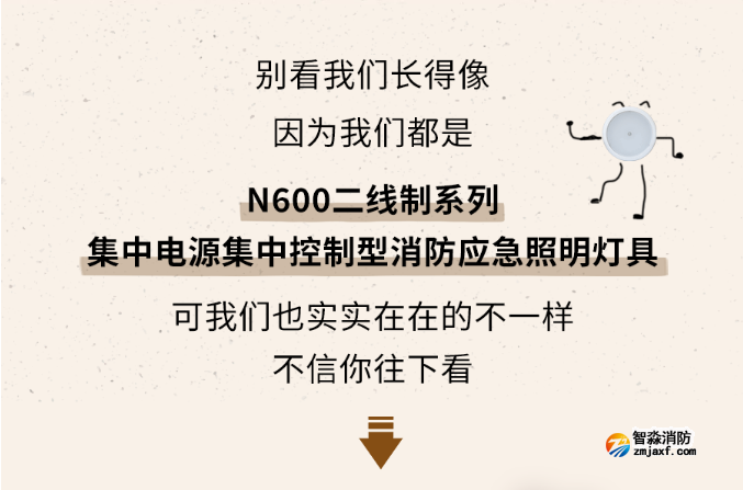 海湾半岛线上官网股份有限公司N600二线制系列集中电源集中控制型半岛线上官网股份有限公司应急照明灯具介绍