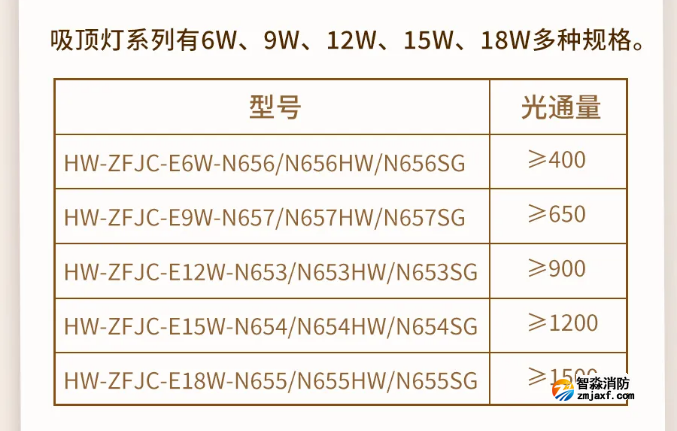 海湾半岛线上官网股份有限公司N600二线制系列集中电源集中控制型半岛线上官网股份有限公司应急照明灯具型号