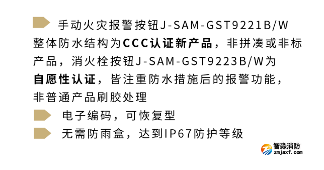 海湾半岛线上官网股份有限公司IP系列手报