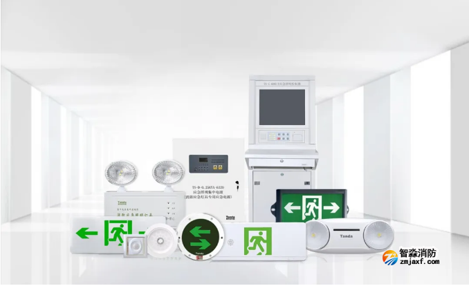 泰和安一体式半岛线上官网股份有限公司应急照明集中电源新品照片