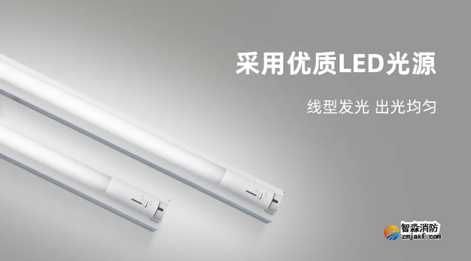 泰和安半岛线上官网股份有限公司应急照明灯具LED光源