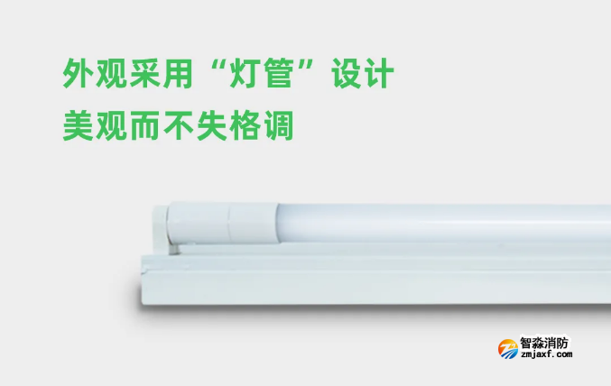 泰和安半岛线上官网股份有限公司应急照明灯具灯管