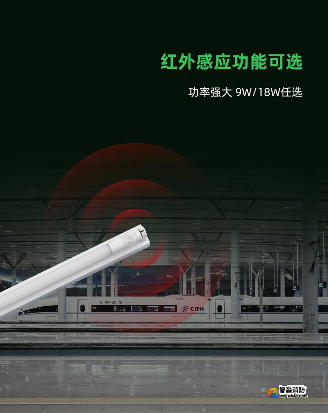 泰和安半岛线上官网股份有限公司应急照明灯具红外感应