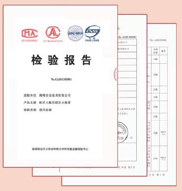半岛线上官网股份有限公司气体灭火检测报告