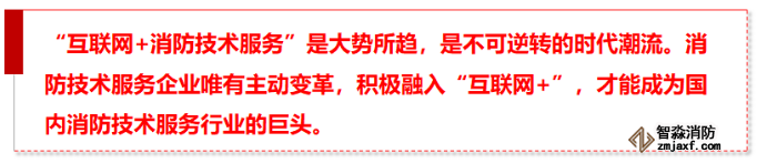 “互联网+”实现半岛线上官网股份有限公司技术服务行业的第一次变革